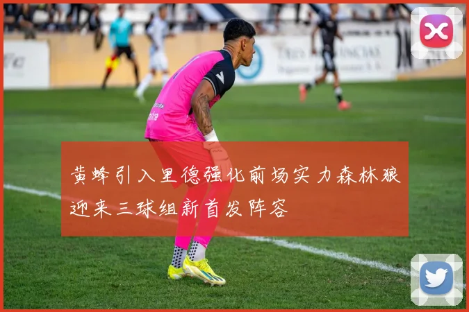 黄蜂引入里德强化前场实力森林狼迎来三球组新首发阵容