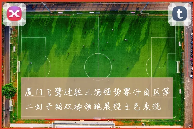 厦门飞鹭连胜三场强势攀升南区第二刘子铭双榜领跑展现出色表现