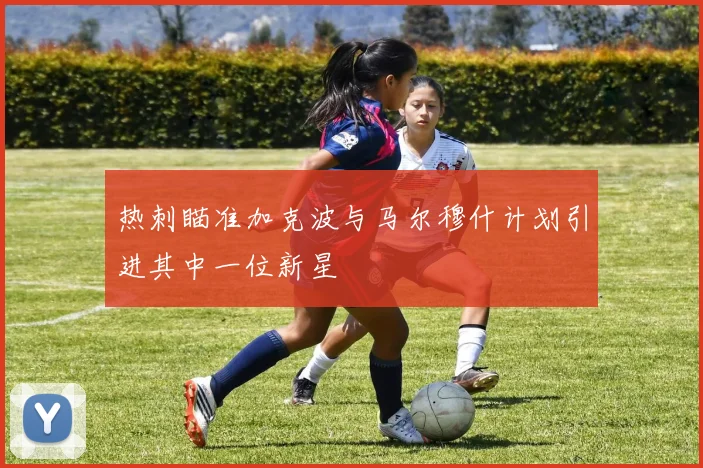热刺瞄准加克波与马尔穆什计划引进其中一位新星