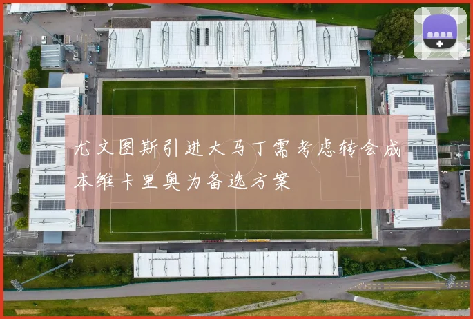 尤文图斯引进大马丁需考虑转会成本维卡里奥为备选方案